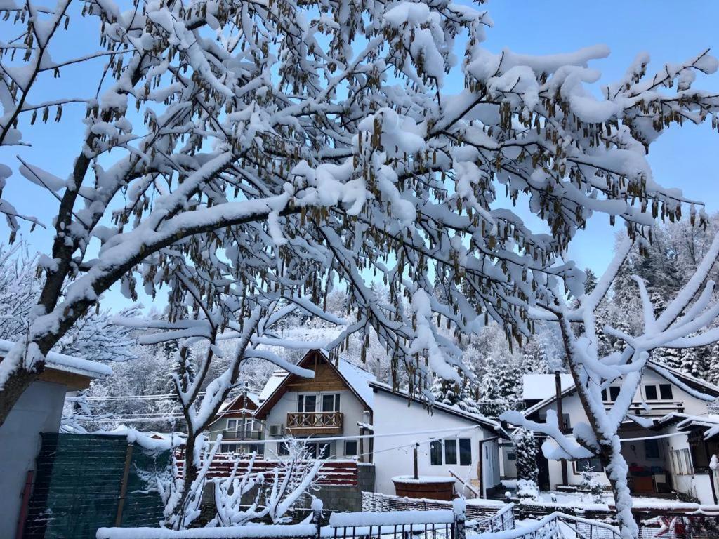 Podul De Brazi - Fir Bridge Villa Cartisoara Luaran gambar